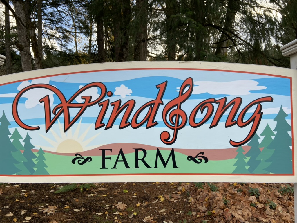 WindSong Image